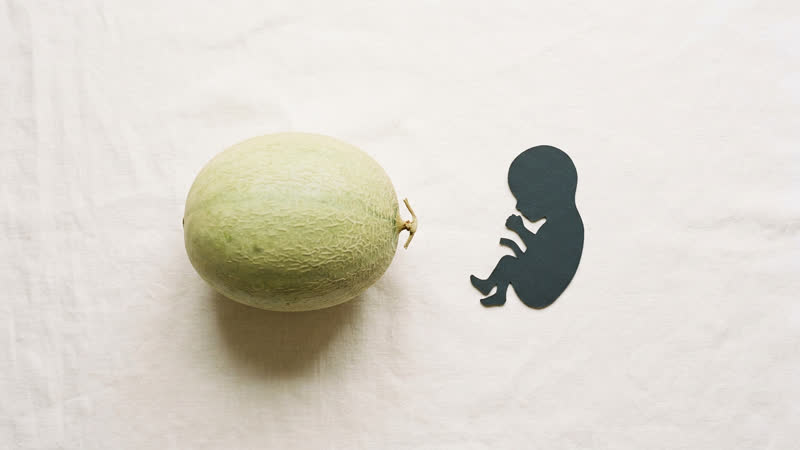 Baby size at 37 weeks pregnant — approximately 6.3 lbs (2.9 kg) and 19.1 inches, comparable to a winter melon