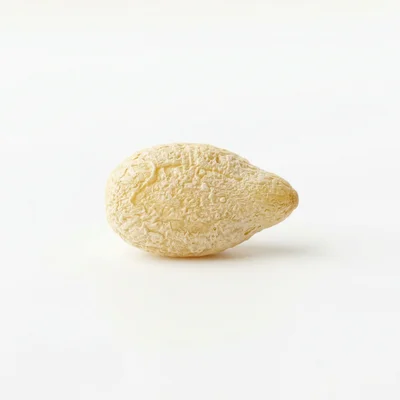 Baby size at week 5: Sesame seed