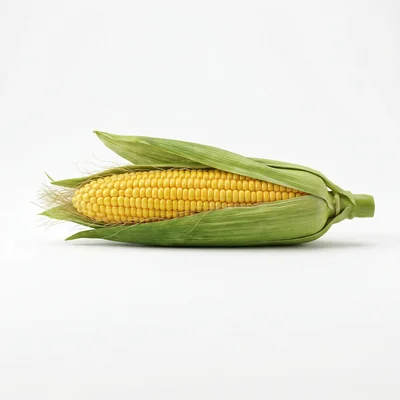 Baby size at week 24: Corn
