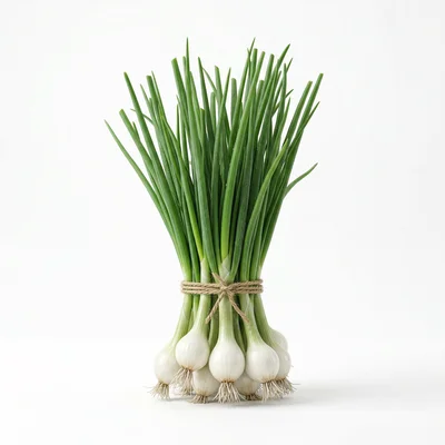 Baby size at week 26: Scallion