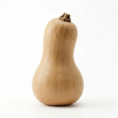 Baby size at week 29: Butternut squash