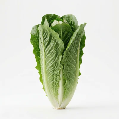 Baby size at week 36: Head of romaine lettuce